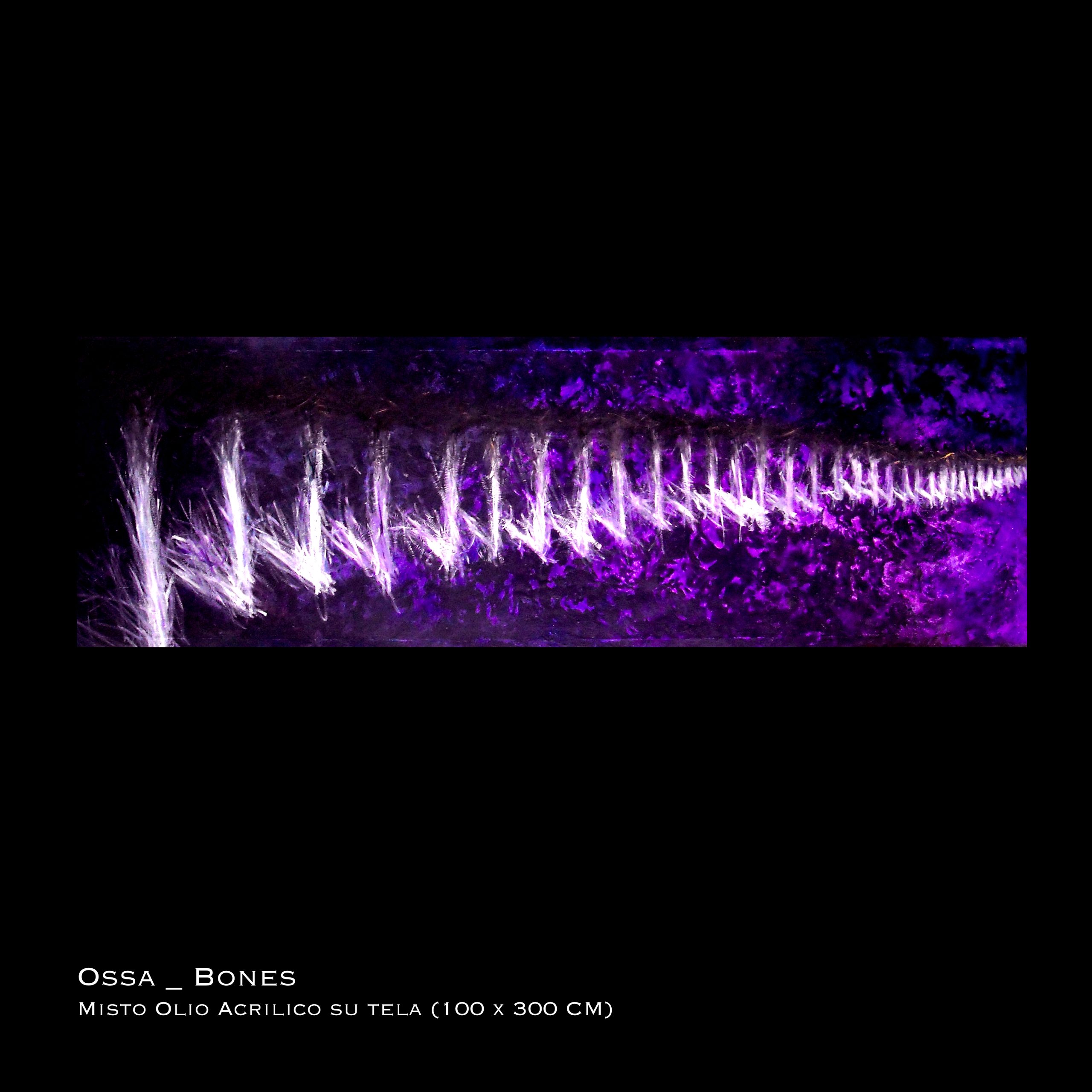 5. Ossa _ Bones