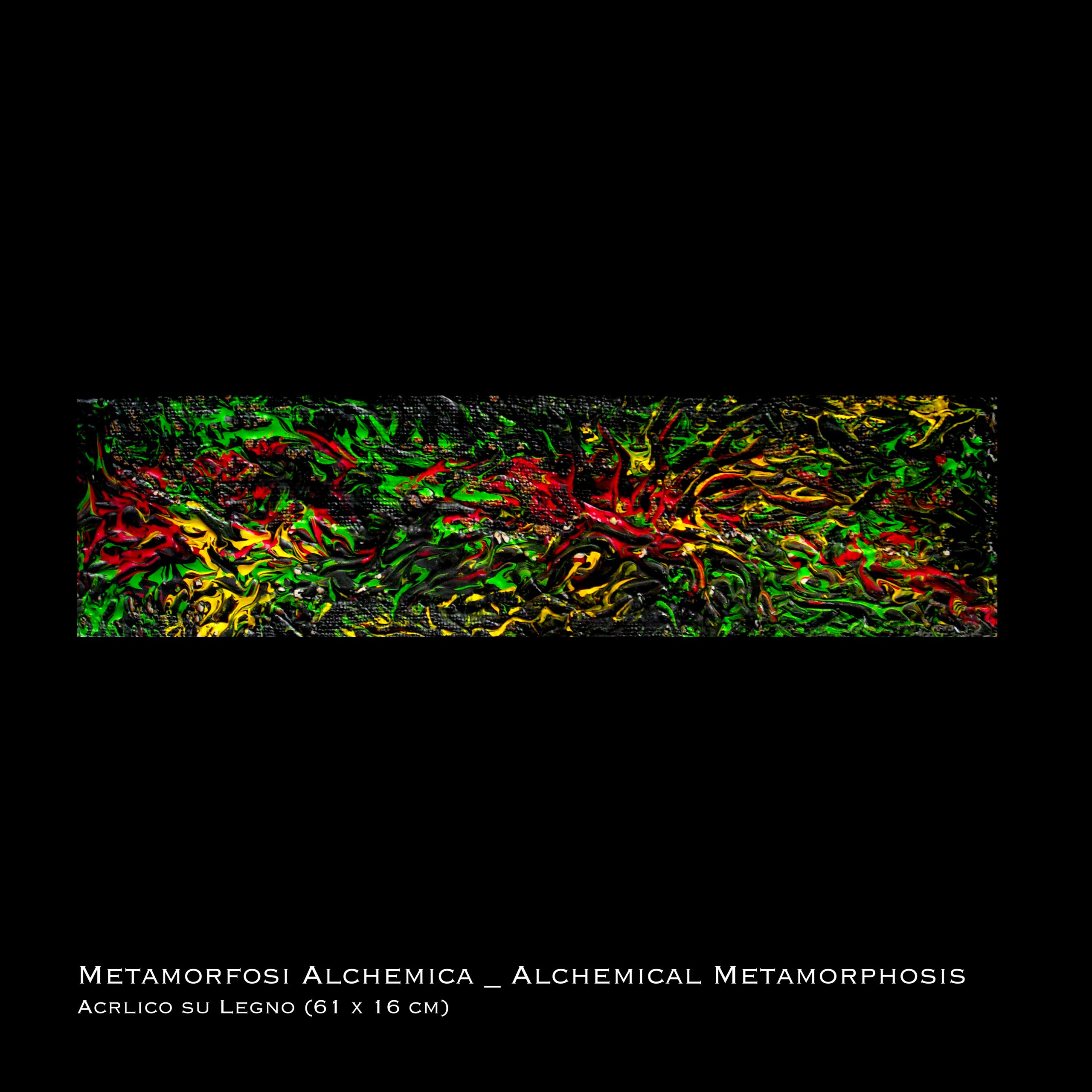 7. Metamorfosi Alchemica _ Alchemical Metamorphosis